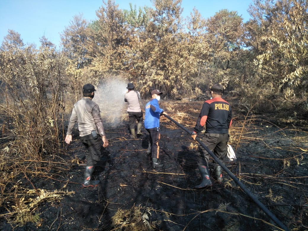  Karhutla di Riau Terus Meluas, Sudah 1.136,41 Ha Lahan Terbakar 